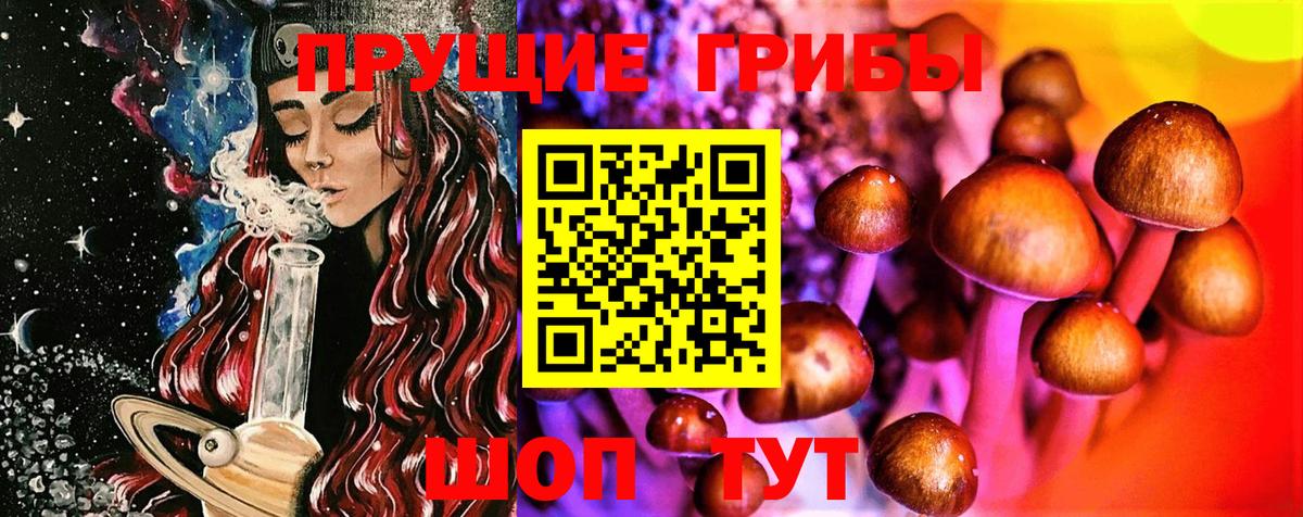 Псилоцибиновые грибы Psilocybe Тельмана